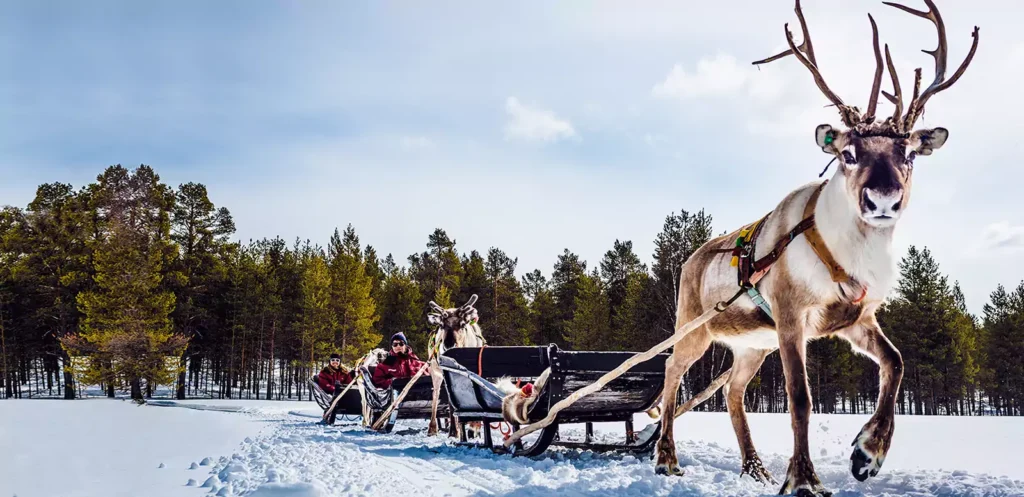 Lappland aktiv