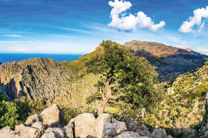 Mallorca Wanderreise