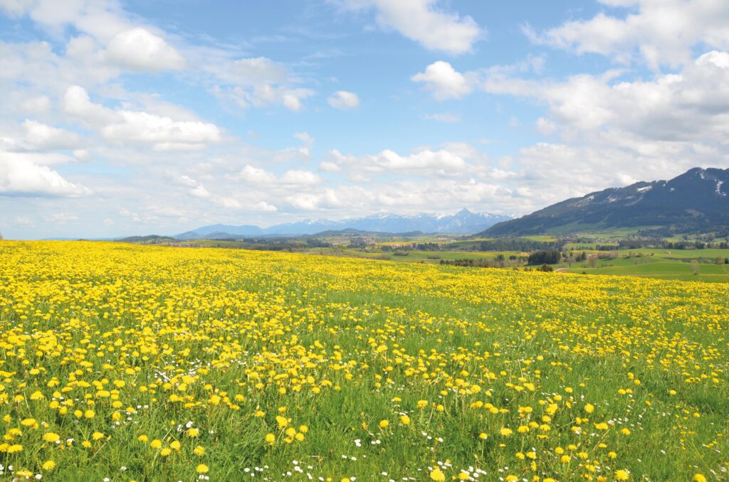 Allgäu