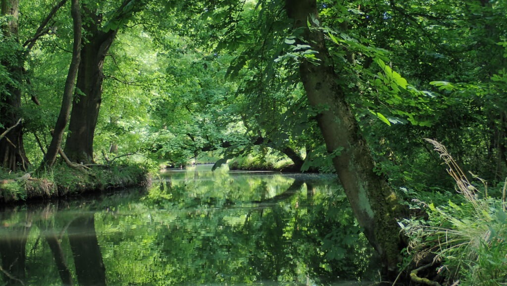 Spreewald