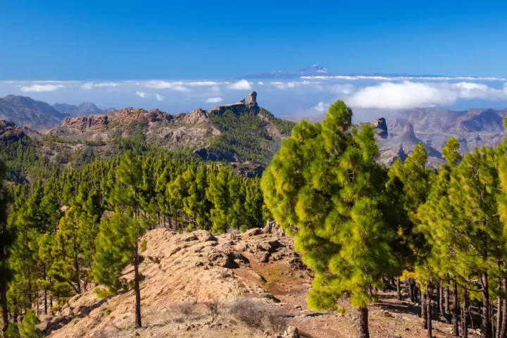 Gran Canaria