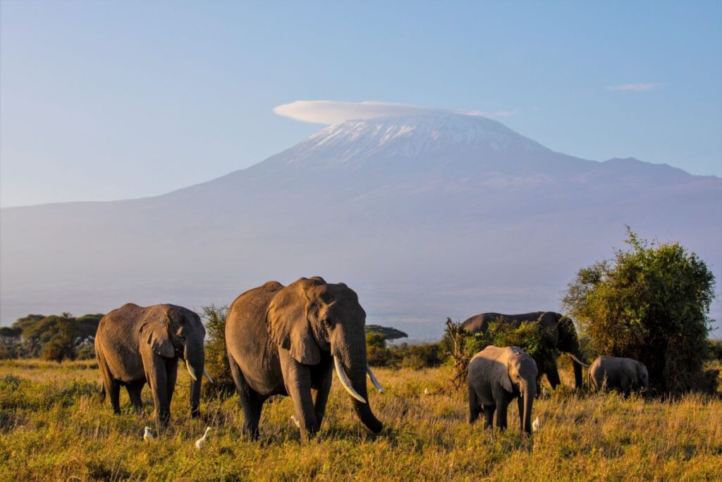 Kenia