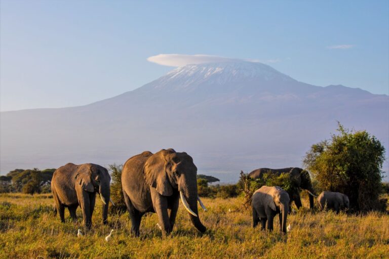 Kenia