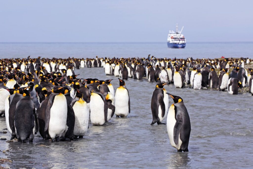 Expeditionskreuzfahrt Antarktis