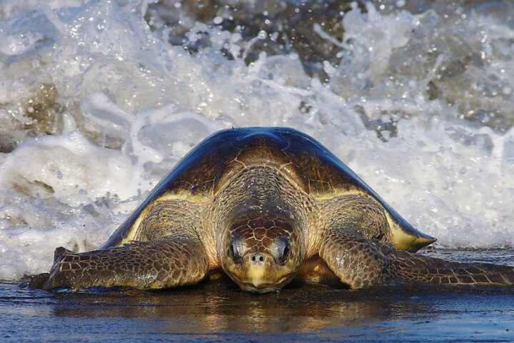 Costa Rica Wanderreise