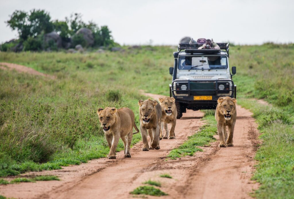 Südafrika