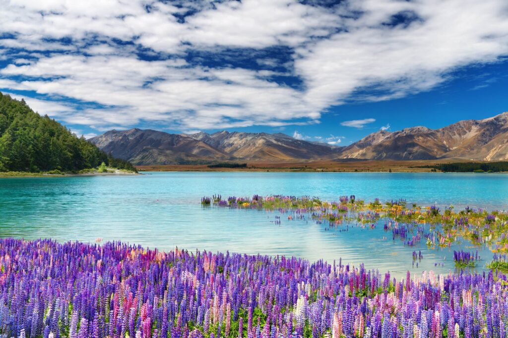 Neuseeland Rundreise