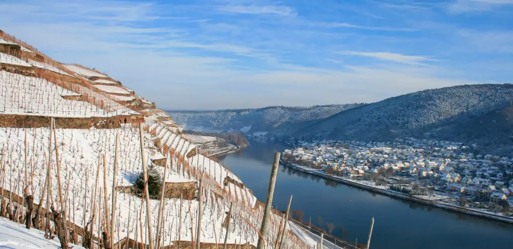 Mosel