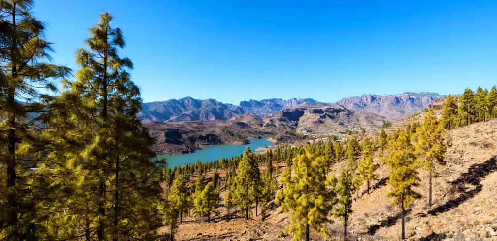 Gran Canaria