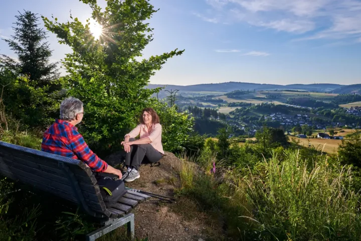 Wittgensteiner Land