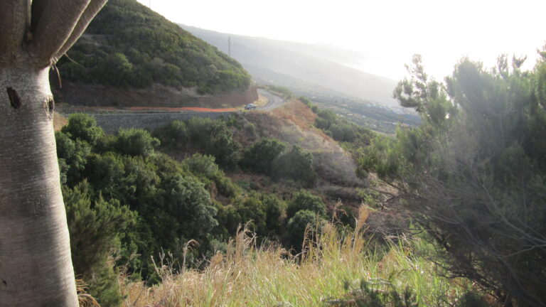 La Palma