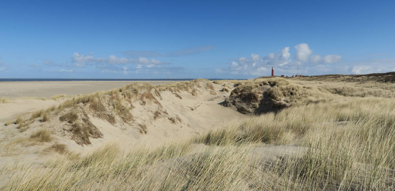 Texel – Watt is los?