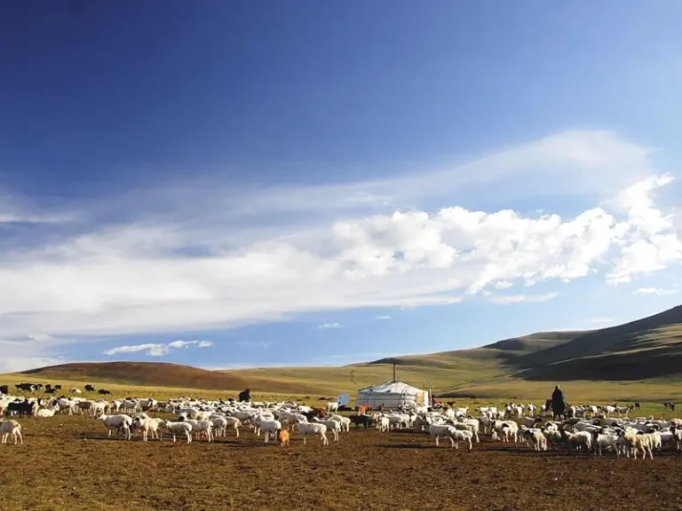 Mongolei Radreise