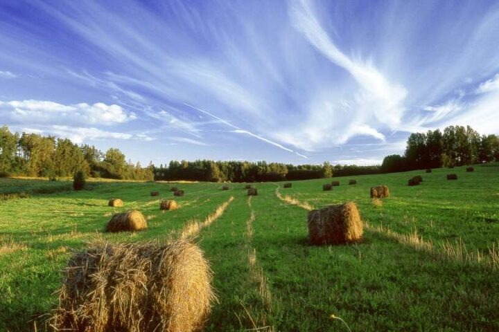 Wanderreise Baltikum