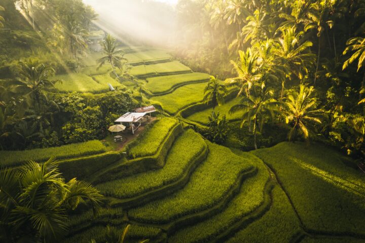 Luxus Bali Rundreise