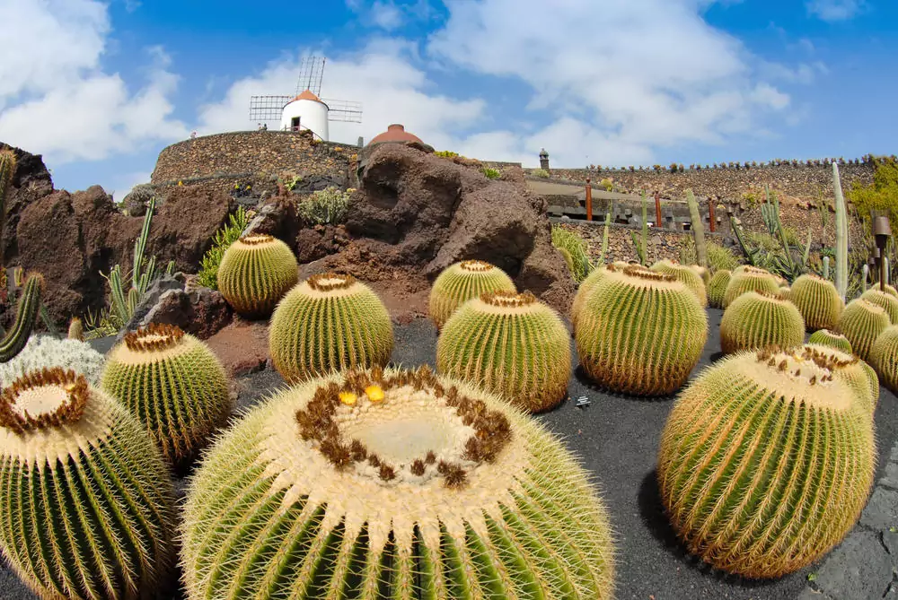 Fuerteventura 3