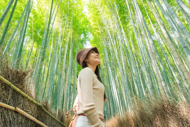 Japan Singlereise