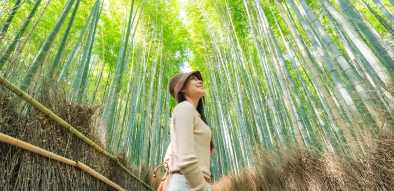 Japan Singlereise