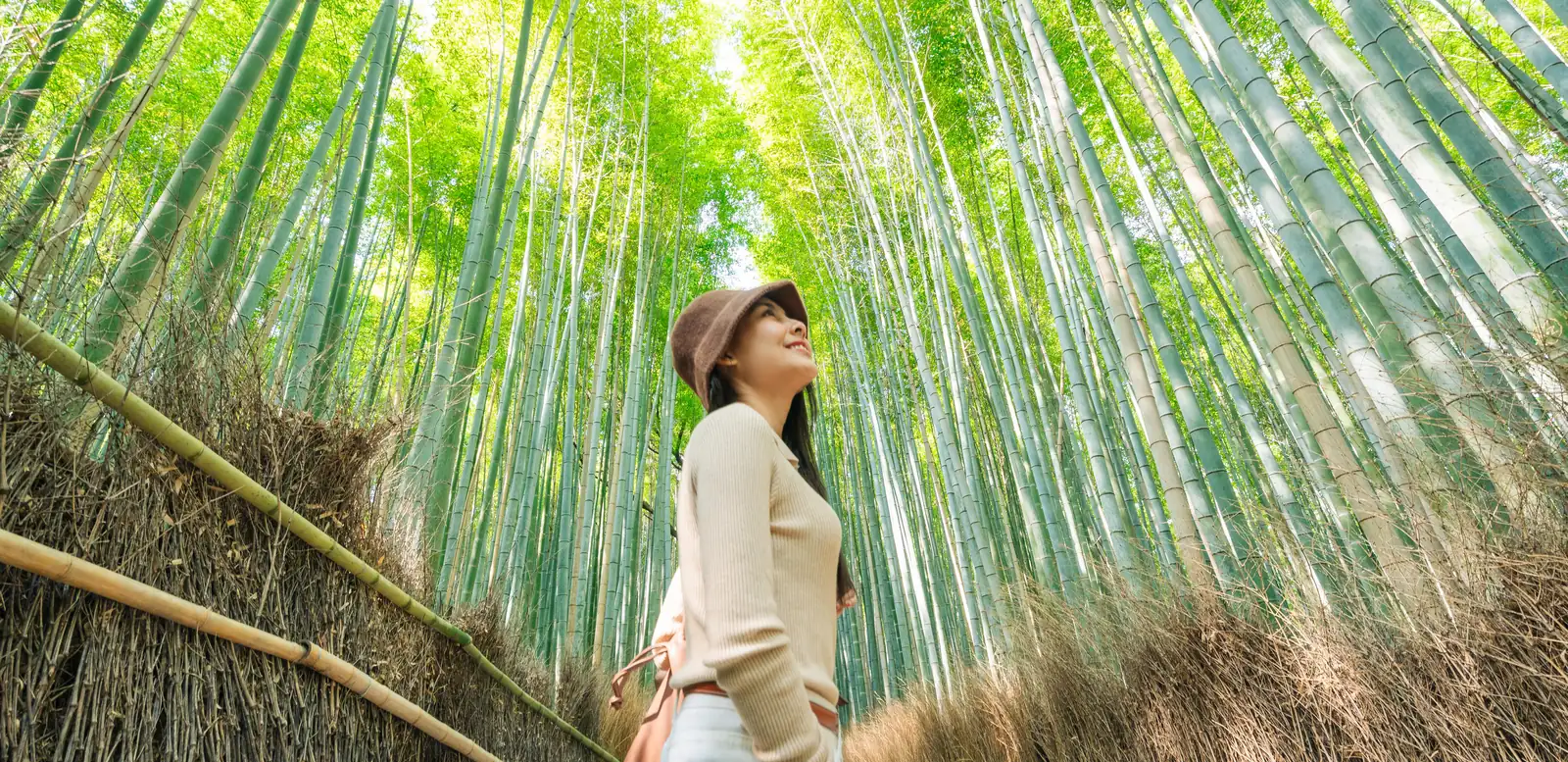 Japan Singlereise