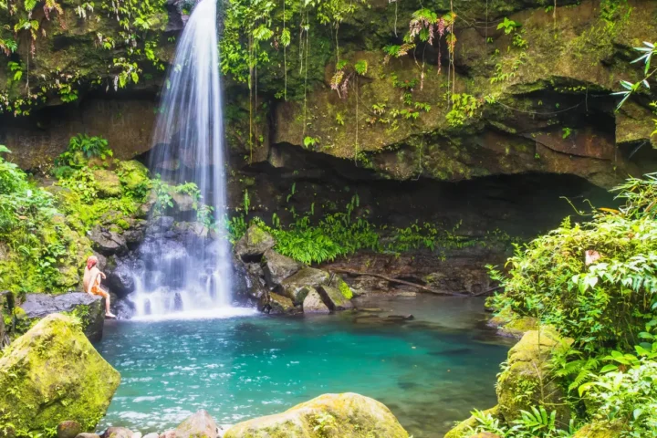 Martinique - Dominica - Guadeloupe