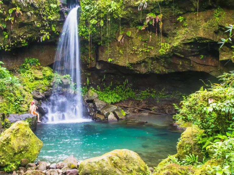 Martinique - Dominica - Guadeloupe