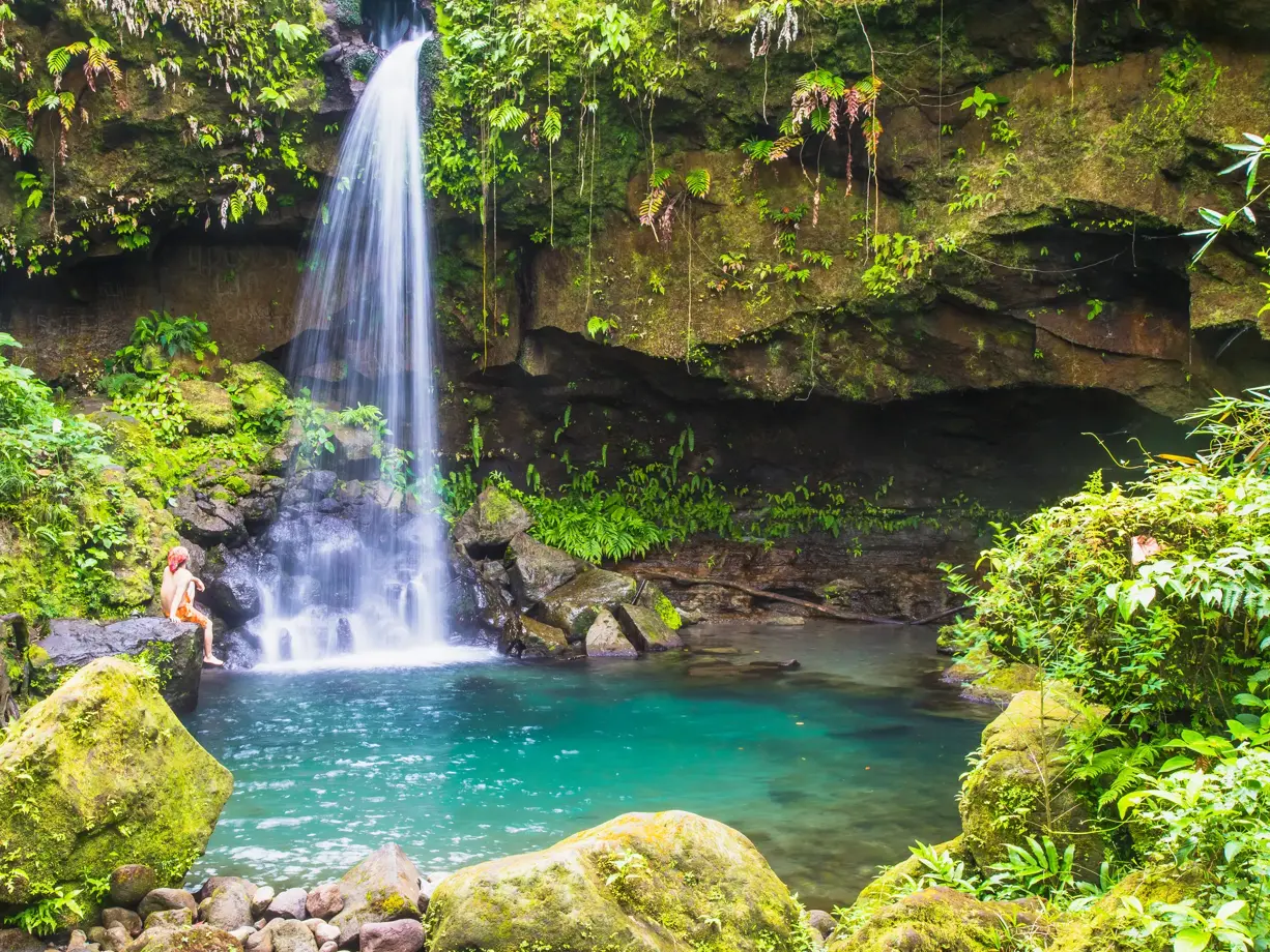 Martinique - Dominica - Guadeloupe