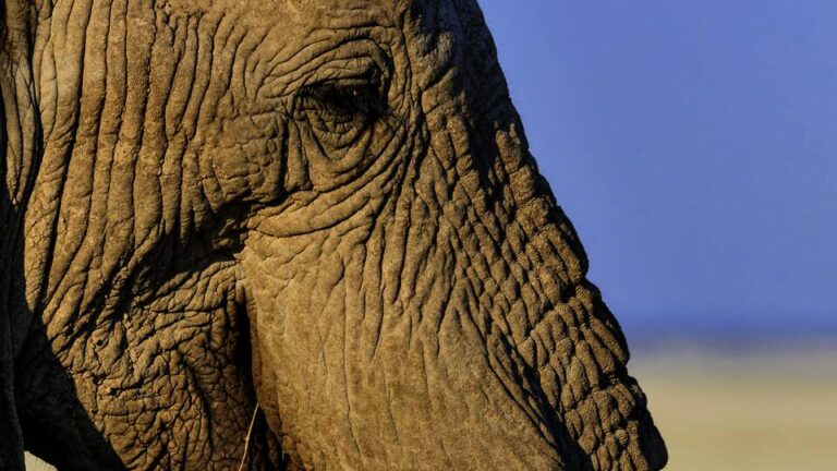 Namibia